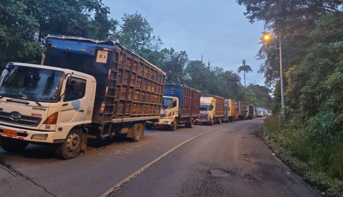 transporte+pollo