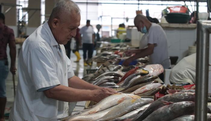 Los mariscos nos salvan en los días de la escasez”