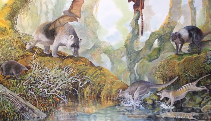 Ilustración del canguro gigante Nombe Nombe, que tiene su origen en Papúa Nueva Guinea, según un estudio publicado este miércoles.