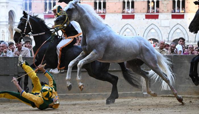 Traditional Palio di S (8441449)