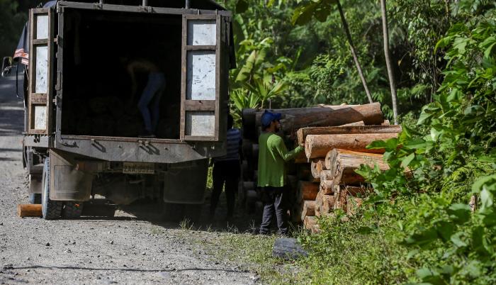 Deforestación