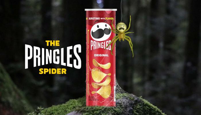 Imagen cedida hoy por Pringles que ilustra la iniciativa que lanzó a través de internet para que una araña sea bautizada con el nombre de este aperitivo.