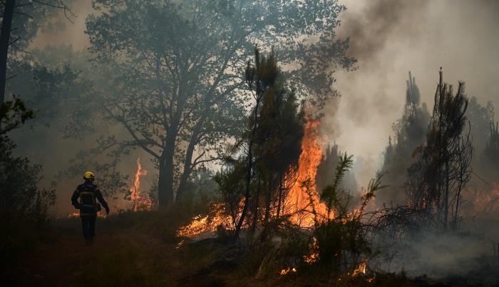 Imagen del incendio en Louchats (Francia).