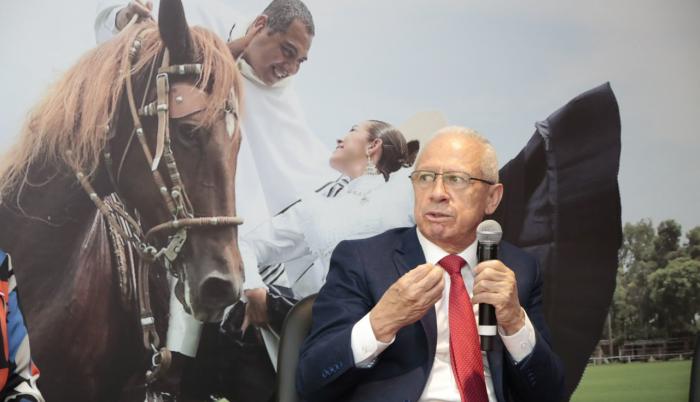CABALLOS DE PASO