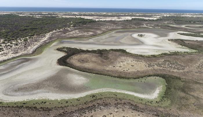 La laguna permanente más grande del Parque Nacional de Doñana (suroeste de España), ha terminado por secarse completamente por la falta de lluvia, el calor y la sobreexplotación del acuífero.