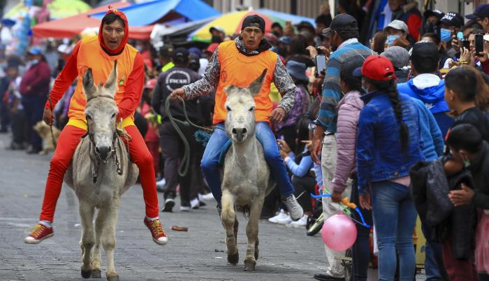 Burros