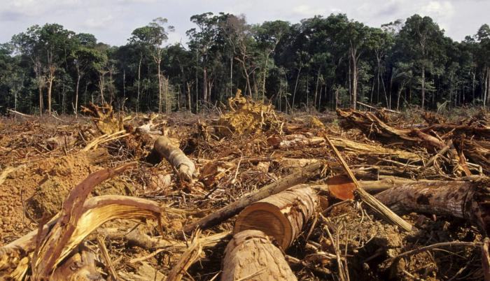 Dato. El análisis enumera los cantones donde más se evidencia la problemática ambiental.