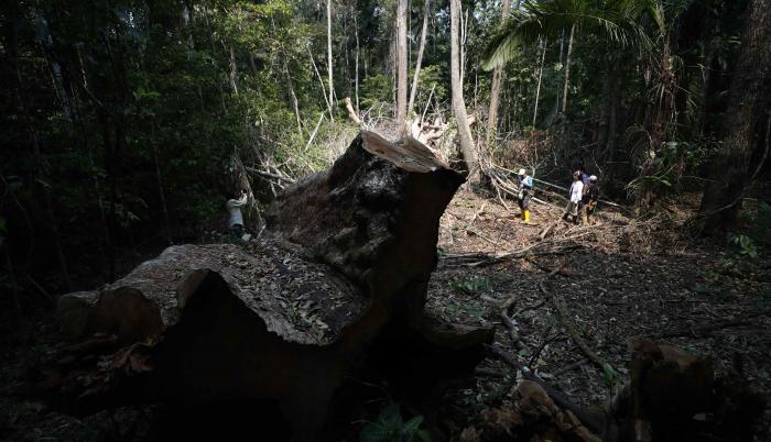 Mundo_Amazonía_Perú_Ambiente