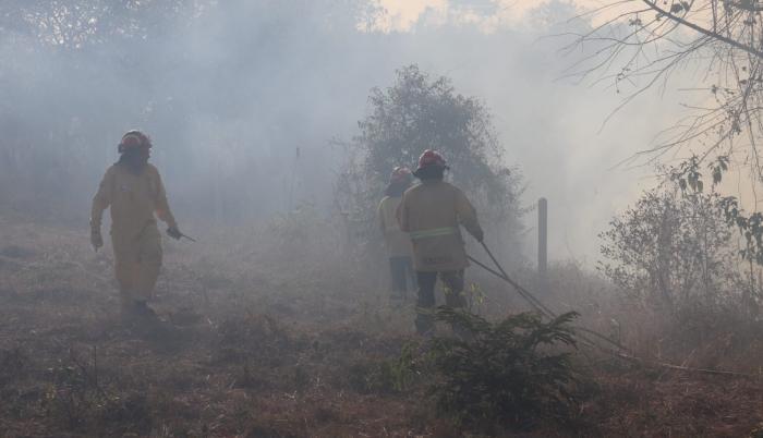 incendio forestal