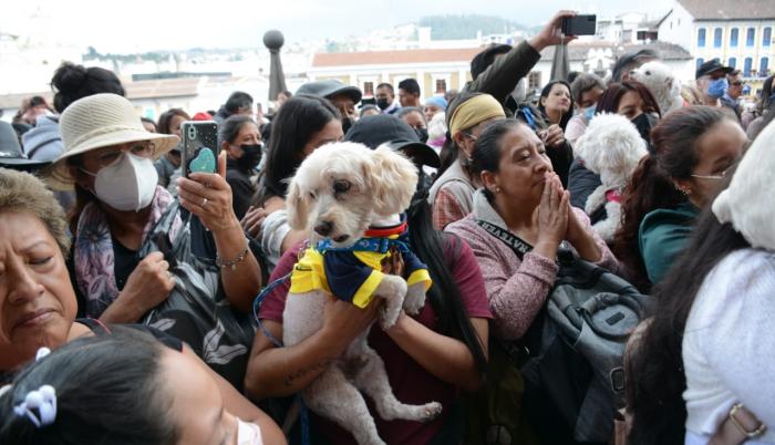 Bendición de mascotas