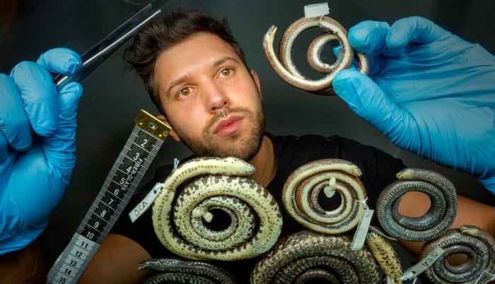 Investigaciones_Biología_Ecuador_Serpientes