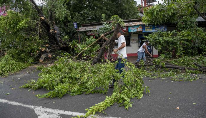 Personas retiran hoy unos arboles caídos tras el paso de la tormenta tropical Julia, en la ciudad de Bluefields (Nicaragua).