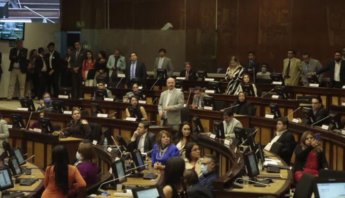 Asamblea- reacción- corte