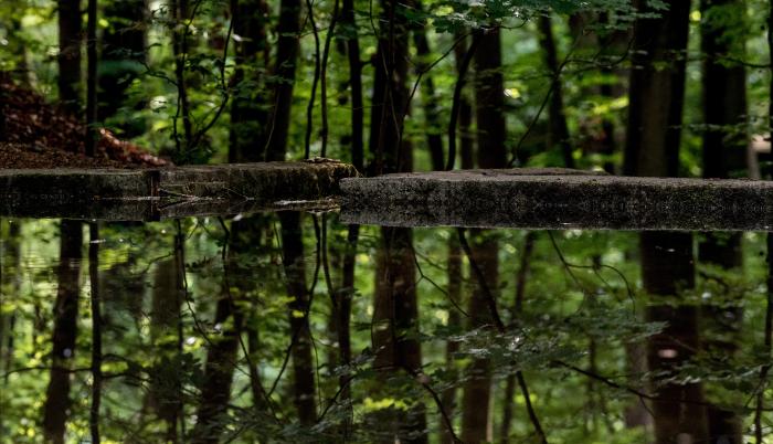 naturaleza