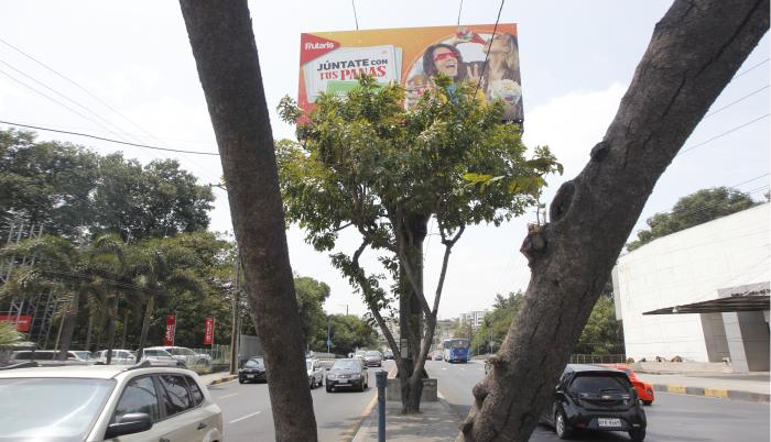Caso vallas