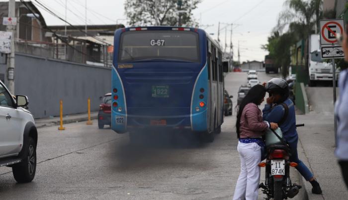 humo buses