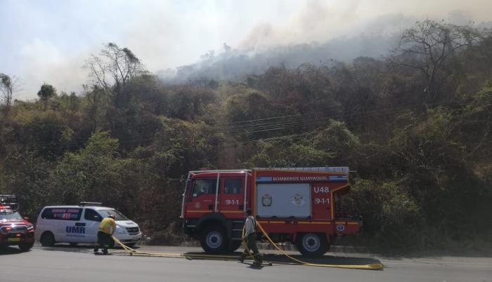 incendio forestal
