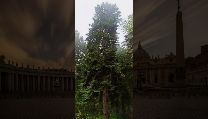 arbol vale