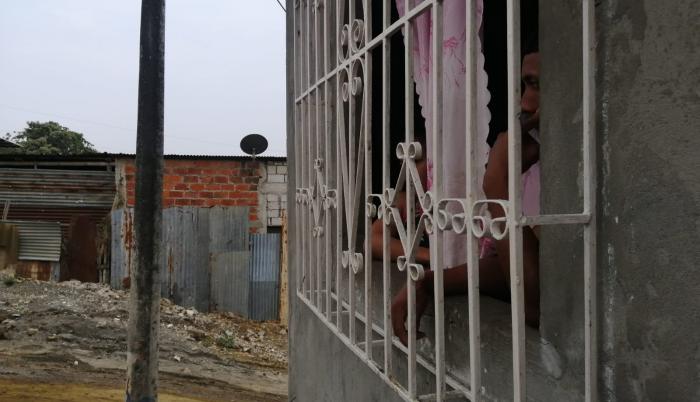 menor disparada flor de bastion