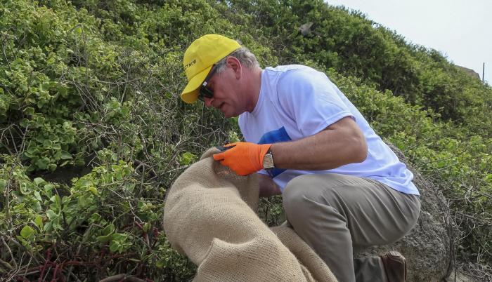 Voluntarios realizan una jornada de limpieza recogiendo basura, el 25 de noviembre del 2022, en las playas de Puerto Cayo (Ecuador).