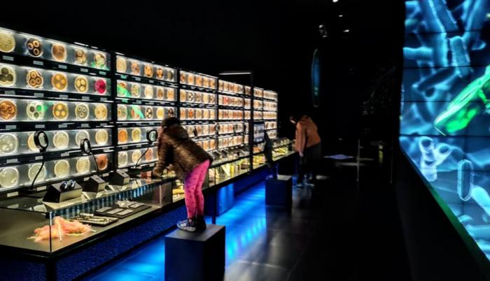Sociedad_Cultura_Investigación_Museo_Microbios_Ámsterdam