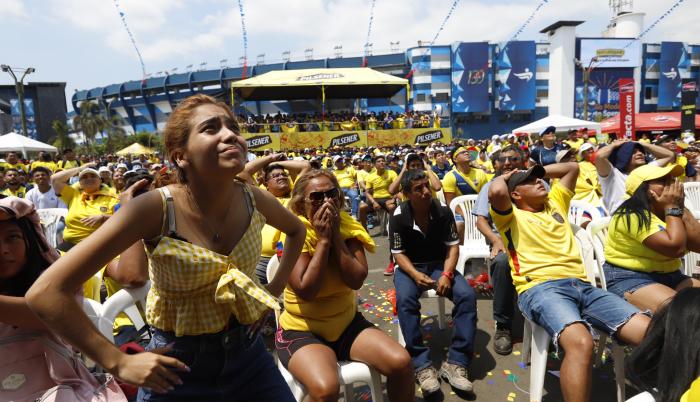 HInchas Ecuador Mundial 2022