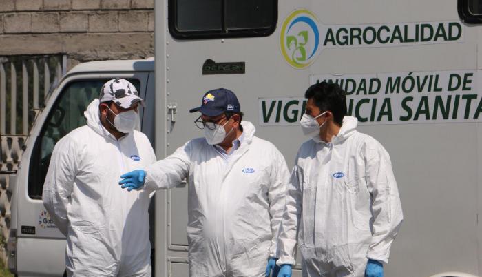 agrocalidad+gripe aviar