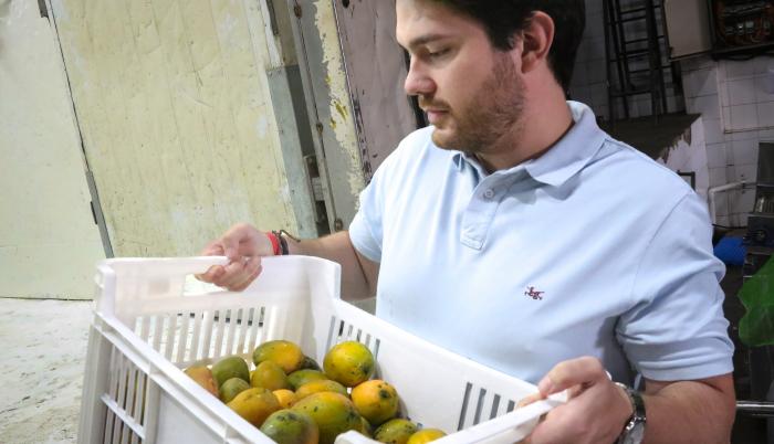 mangos