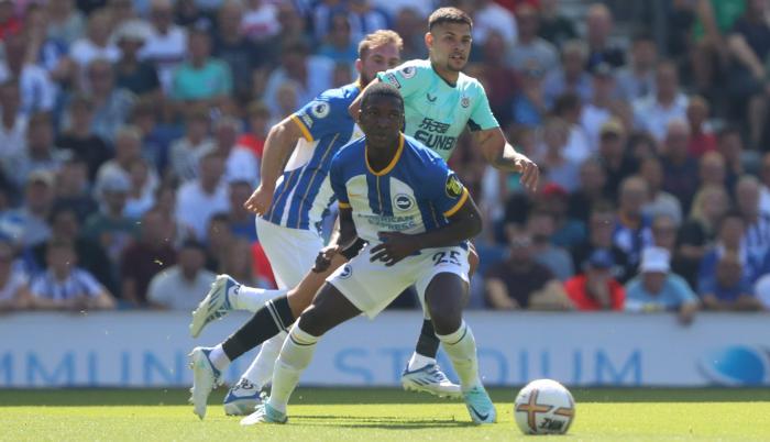 Moisés Caicedo Brighton