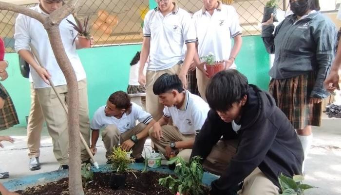 Siembra planta