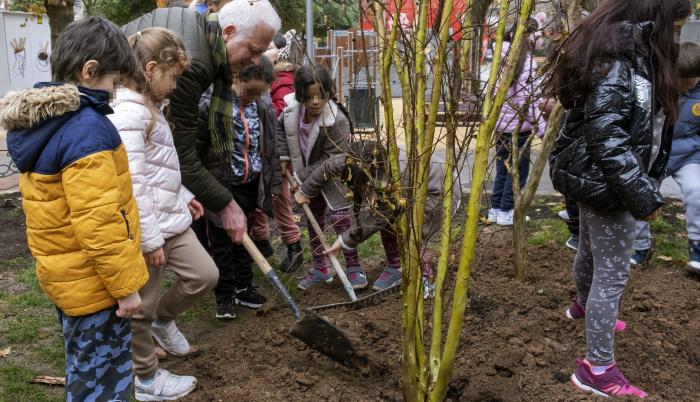 Plantar más árboles reduciría en un tercio muertes en verano en ciudades