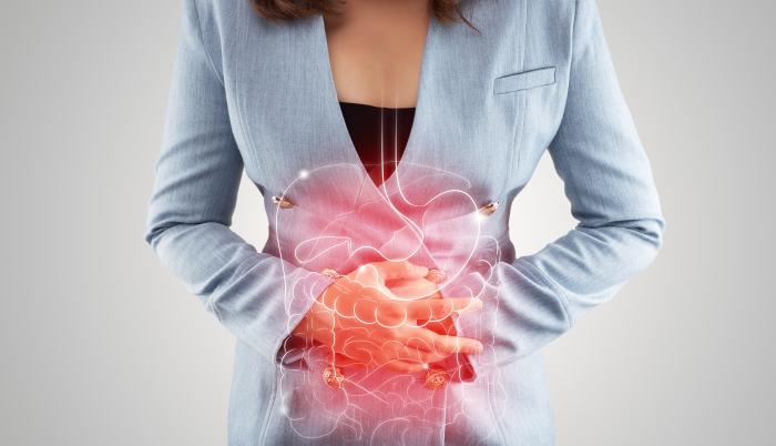Ilustración de los órganos internos en el cuerpo de una mujer.