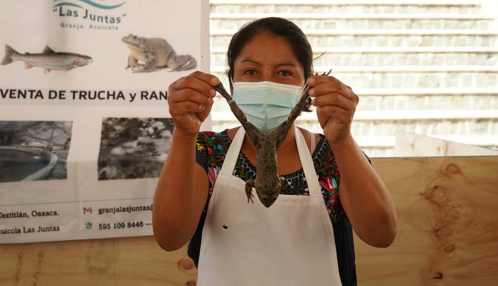 Las Ranas El Plato Favorito En Cuaresma