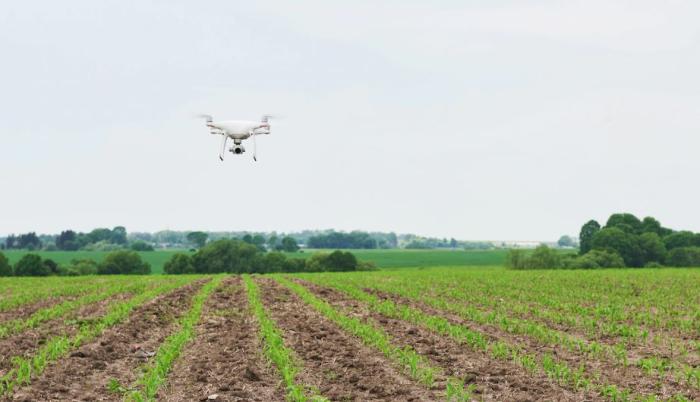 Drones