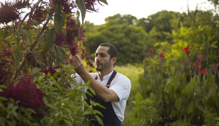 rodrigo pacheco chef