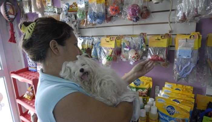 Accesorios para mascotas Archives - Veterinaria El Pet Shop