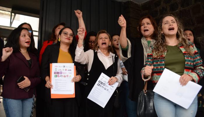Organizaciones feministas reclaman al CNE paridad de género en el próximo proceso electoral