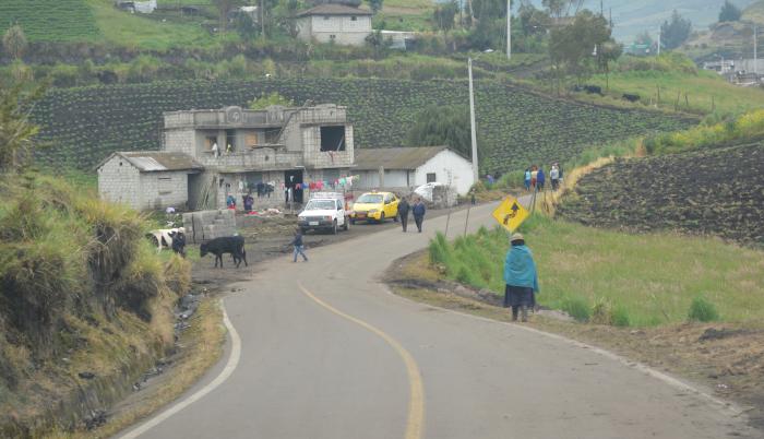 Migración