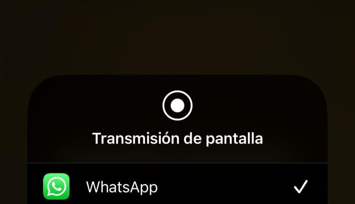 Nueva Función De Whatsapp Ya Se Puede Compartir Pantalla En Videollamadas 0329