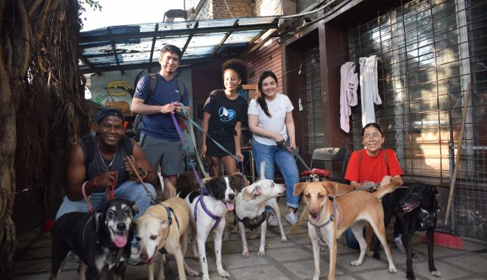 puedes llevar perros al refugio