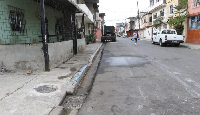 Baleados en los tulipanes 1