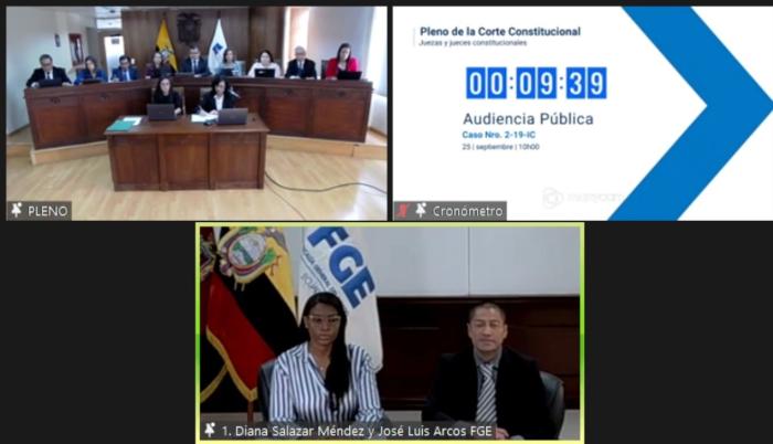 AUDIENCIA CORTE CONSTITUCIONAL