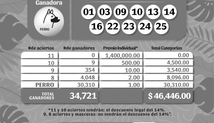 BOLETIN POZO 1051, REVANCHA 38 - LUNES 25 DE SEPTIEMBRE 2023