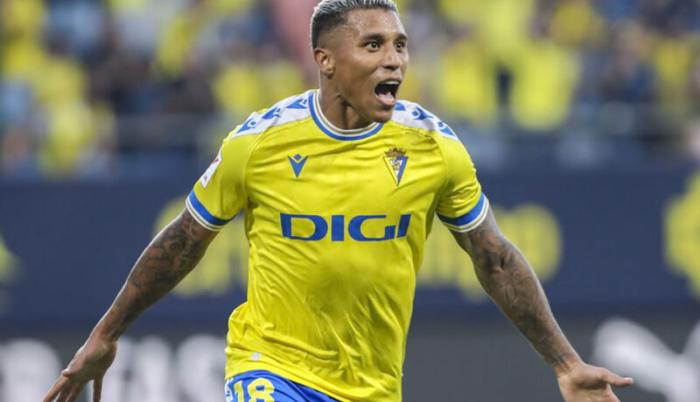 darwin machis