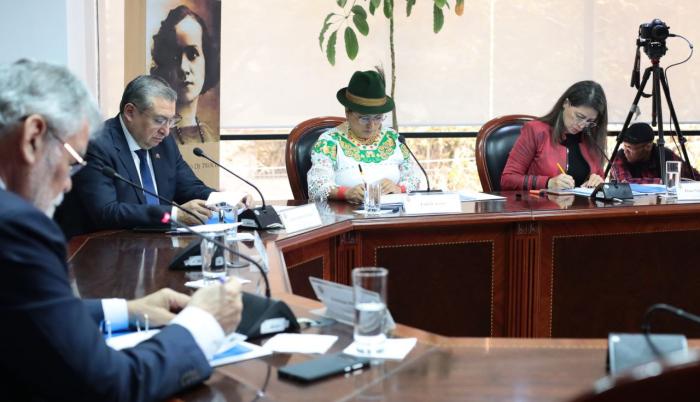 El Pleno del CNE conoció los resultados preliminares para la dignidad de binomio presidencial.