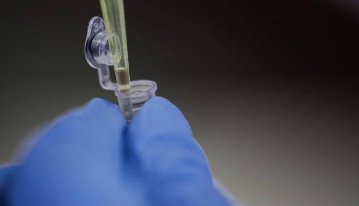 Observan un virus que se adhiere a otro para infectar a su huésped