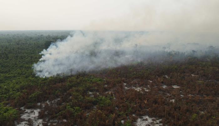Bolivia pide ayuda a Brasil, Chile, Francia y Venezuela para contener los incendios forestales