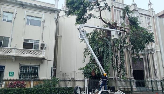 Arquidiócesis de Guayaquil, árbol