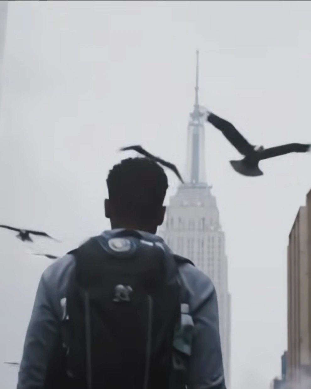 Escena urbana en Nueva York, con el Empire State entre la neblina y aves en vuelo.