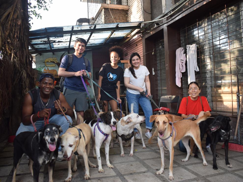 Voluntarios de la Fundación Amigos con Cola.